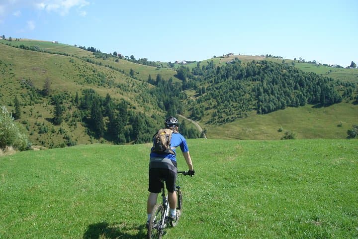 Postavaru Mountain Bike Day Tour from Brasov