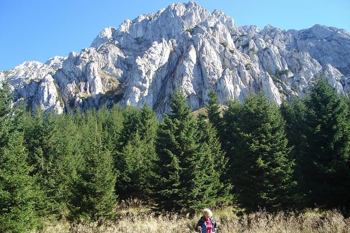 Carpathian Day Hikes: Piatra Craiului, Bucegi, Fagaras & Ciucas — 6‑Hour Guided Routes photo 2