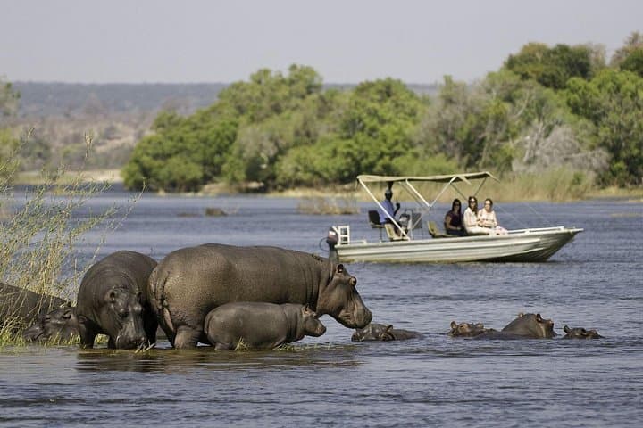 Chobe Extended Day Trip from Victoria Falls: Full-Day Safari & Sunset River Cruise photo 2