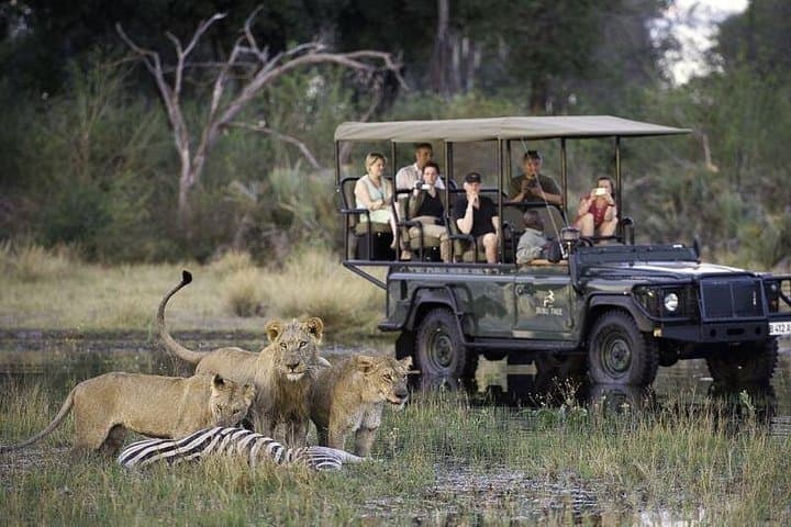 Chobe Extended Day Trip from Victoria Falls: Full-Day Safari & Sunset River Cruise photo 1