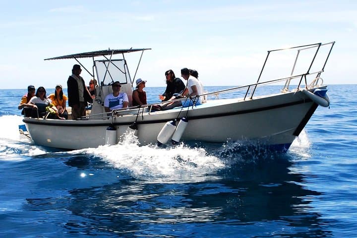Private Cinque Terre Boat Tour — Swim, Wine & Coastal Views photo 2