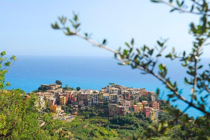 Sea, Sauce and Sun: Cinque Terre Pesto Class, Boat Tour & Lunch from La Spezia