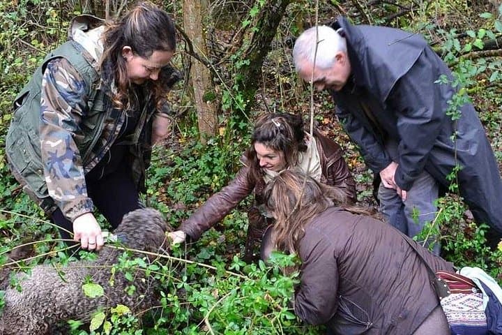 Truffle Hunting Near Montalcino: Black Scorzone Foraging and Tasting photo 2