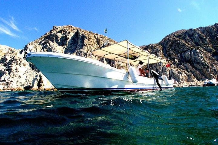 Cabo San Lucas Private Sightseeing Cruise to Land's End (El Arco)