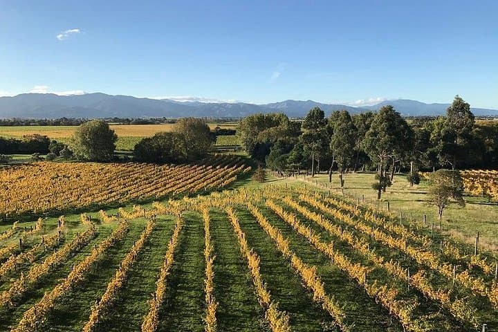 Winter Wine, Gourmet & Scenic Pleasures of Marlborough: Small-Group Tour photo 1