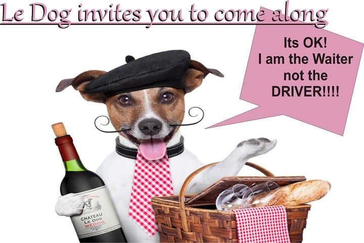 Winter Wine & Gourmet Trail of Marlborough: Progressive 5-Venue Tasting from Blenheim photo 2