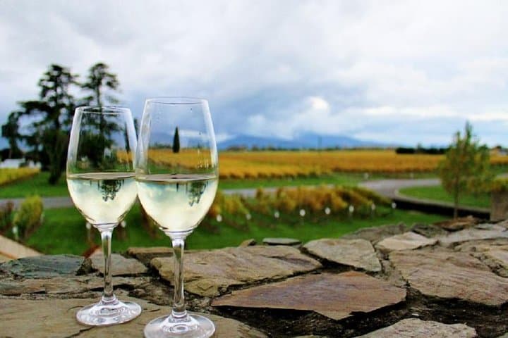 Progressive Wine and Gourmet Trail of Marlborough: Day Tour Guide photo 1