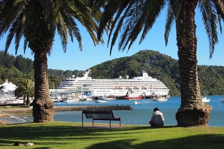 Marlborough Wine Region Tour from Picton: Cellar Doors, Scenic Lookouts & Tastings