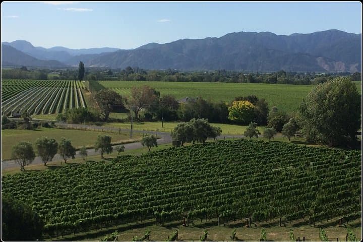 Picton to Marlborough: Private Wine, Gourmet & Scenic Delights Tour