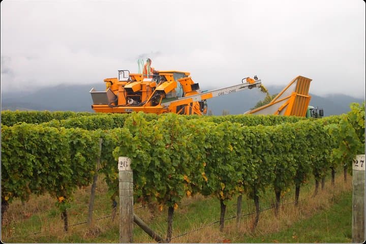 Marlborough Wine Tour from Picton: Full-Day Gourmet & Scenic Experience photo 1