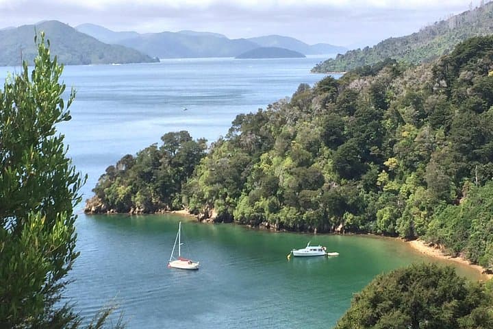 Private Winter Wine & Scenic Tour from Picton — Marlborough's Vineyards and Views photo 2