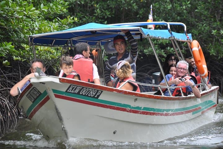 Kilim Mangrove Safari: 5‑Hour Shared Boat Tour in Langkawi