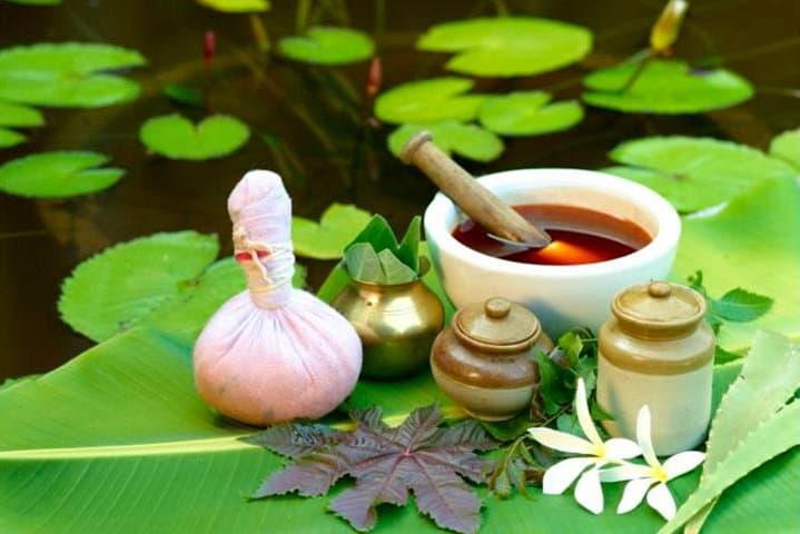 Ayurveda Day Package in Bentota — Traditional Sri Lankan Wellness Day photo 2
