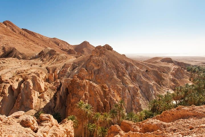 Indian Canyons Jeep Tour & Andreas Canyon Hike from Palm Springs photo 2