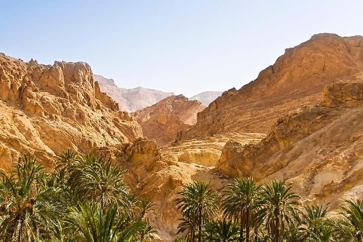 Indian Canyons Jeep Tour & Andreas Canyon Hike from Palm Springs photo 3
