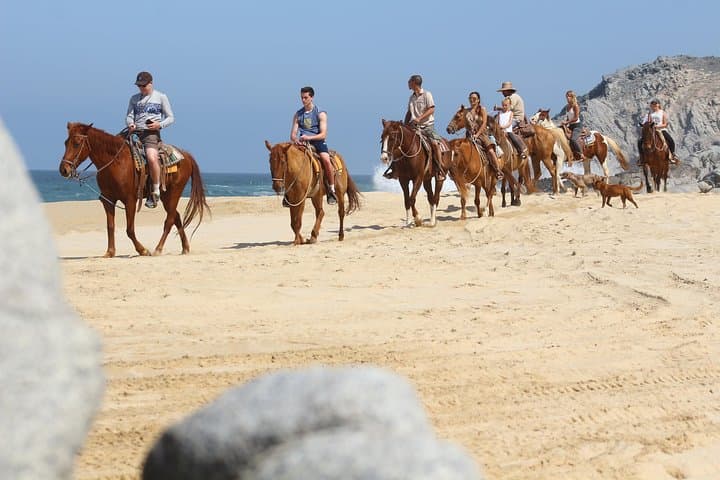 Pacific Coastal Horseback Riding Tour in Cabo San Lucas — Ocean Cliffs & Desert Trails photo 2