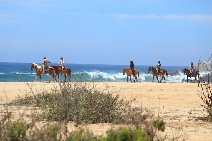 Los Cabos ATV and Pacific Horseback Riding Combo Tour — Ride Desert Trails with Ocean Views photo 3