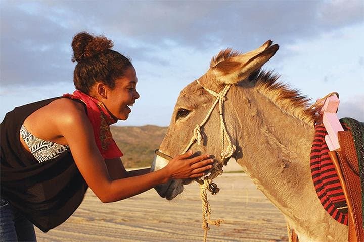 Sunset Pacific Donkey Hiking Tour at Rancho Carisuva — Donkey-Led Hike Near San José del Cabo