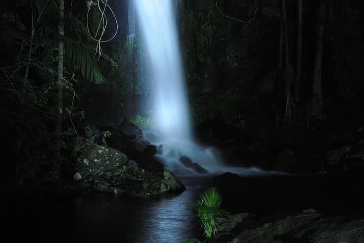Tamborine Mountain Glow Worm Night Walk from the Gold Coast