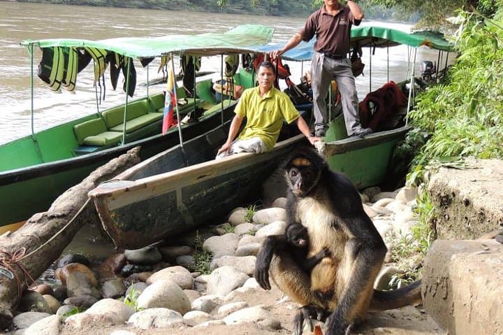 4-Day Private Huaorani Amazon Jungle Adventure from Quito photo 2
