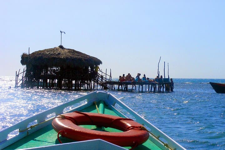 Discover the Heart of Jamaica: 3-Day Adventure from Montego Bay photo 1