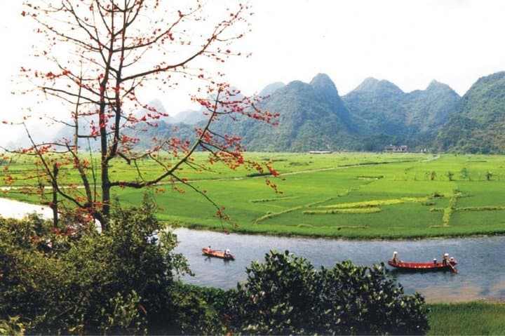 Perfume Pagoda Full-Day Private Tour: Sampan Ride, Huong Tich Cave & Thien Tru Hike from Hanoi photo 1