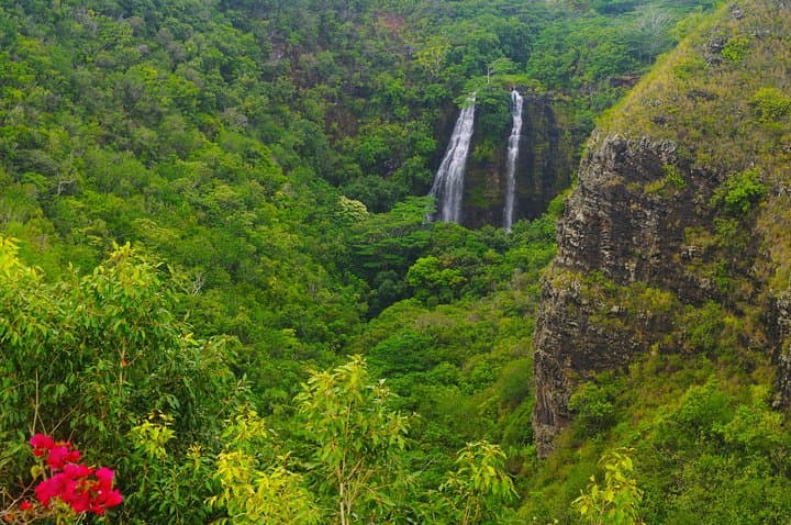 Oahu to Kauai Day Trip: Waimea Canyon, Wailua River & Fern Grotto photo 2