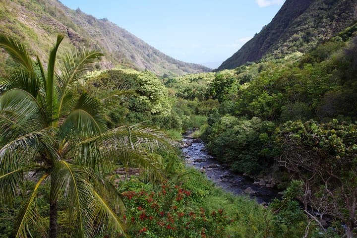 Maui Day Trip from Oahu: Haleakala Summit, Haliimaile Lunch & Iao Valley photo 4