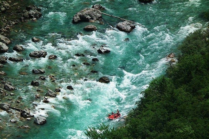 Full-Day Tara River Rafting from Kotor — 18 km Through Europe’s Deepest Canyon