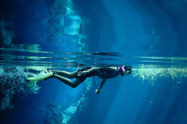 Cozumel Snorkeling Day Trip from Playa del Carmen — Two Reefs & Marine Park Adventure