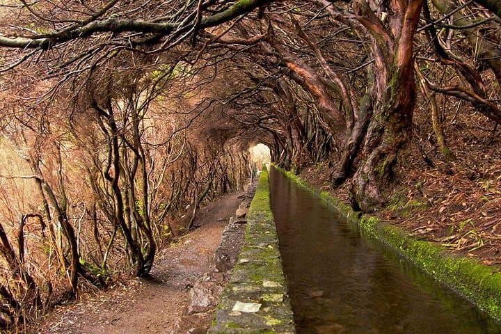 Rabaçal to 25 Fontes: Full-Day Levada Walk from Funchal photo 2