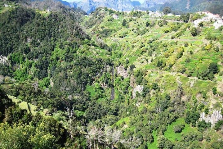 Referta Castelejo Levada Walk from Funchal — Easy 5.5 km Levadas & Coastal Views photo 2