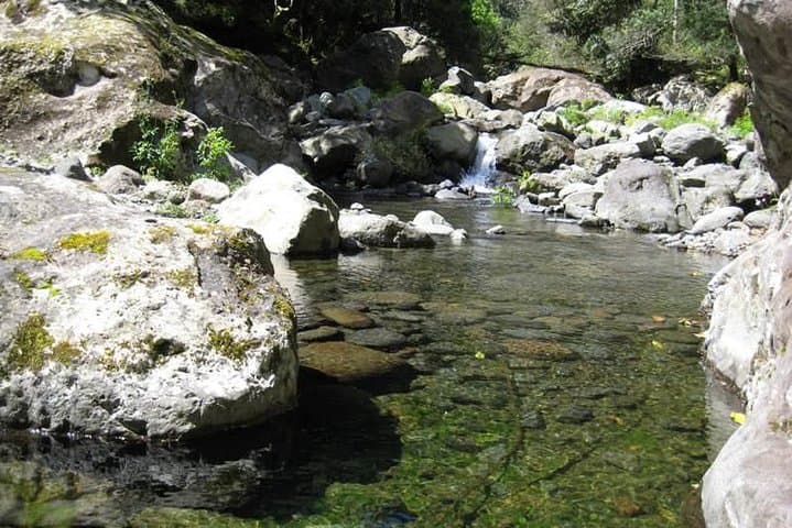 Referta Castelejo Levada Walk from Funchal — Easy 5.5 km Levadas & Coastal Views photo 3
