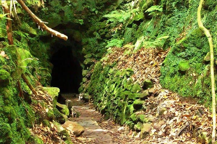 Levada do Caldeirão Verde: Classic Queimadas-to-Caldeirão Verde Levada Hike from Funchal photo 3
