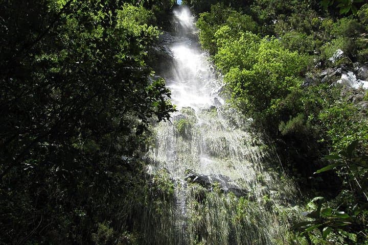 Levada Walk from Funchal: Hidden Corners of São Jorge (8‑Hour Guided Hike) photo 3