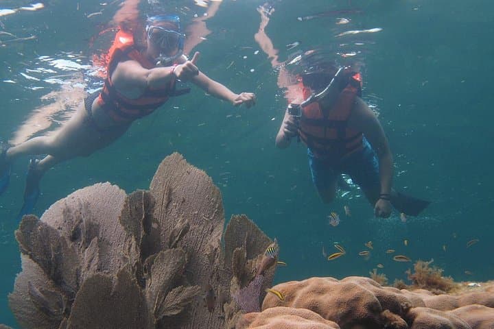 Puerto Morelos Two Reefs Snorkeling Tour on the Mesoamerican Reef photo 2