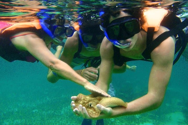 Puerto Morelos Snorkeling Tour — Explore the Mesoamerican Reef from Cancun photo 2