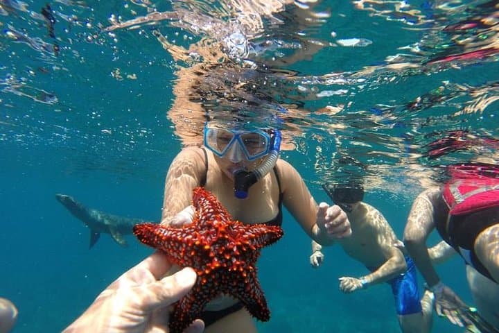 Sail & Snorkel Los Cabos: Santa María and Chileno Bay Discovery Cruise with Lunch photo 2