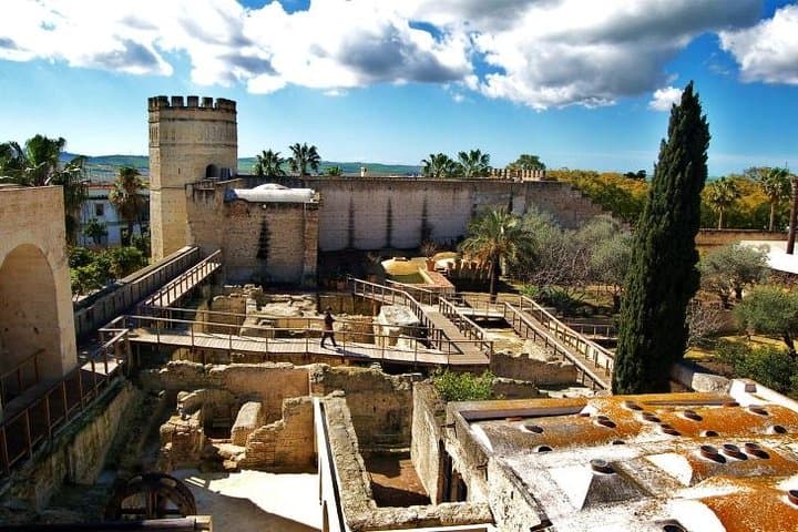 Jerez Walking Tour: Alcázar & Cathedral Highlights in Two Hours