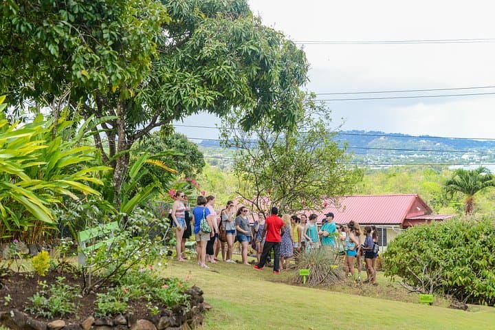 Essence of St Lucia: Heritage Garden Walk, Mini Museum & Tasting photo 2