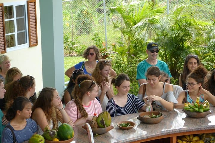 Essence of St Lucia: Heritage Garden Walk, Mini Museum & Tasting photo 1
