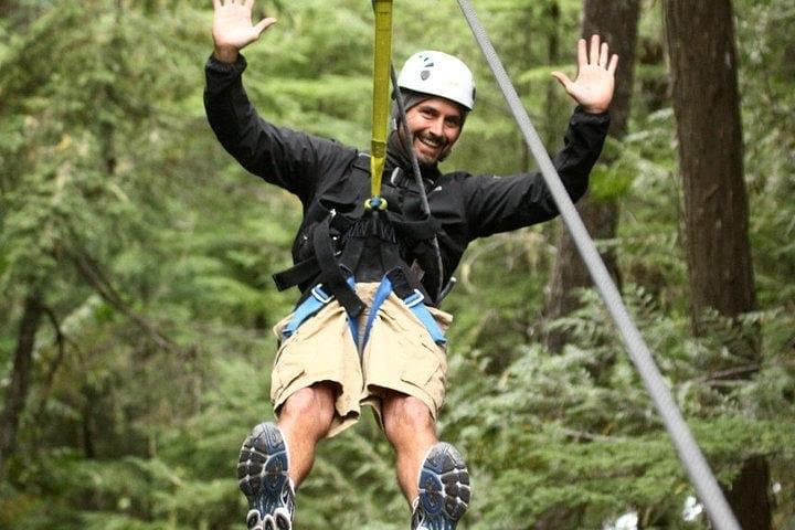 St Lucia Rainforest Canopy Zipline Adventure from Vieux Fort