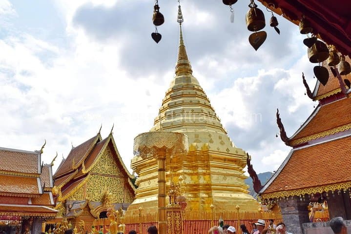 Half-Day Doi Suthep and Pha Lat (Palad) Temple Private Tour — Chiang Mai Cultural Hike photo 4