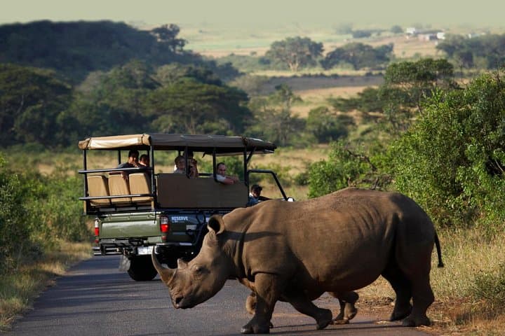 Richards Bay to Hluhluwe Safari — Private Small-Group Big 5 Shore Excursion