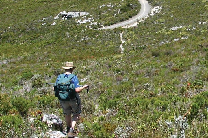 Table Mountain Hike — Guided Summit Trek from Cape Town with Cable Car Option photo 3