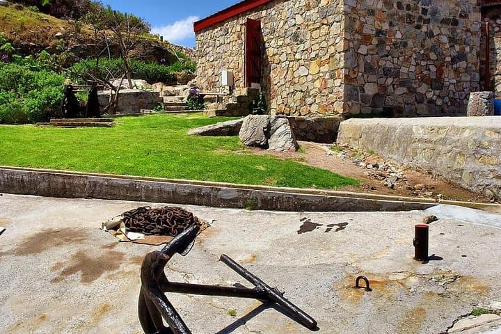 Hermanus Whale Watching Day Trip from Cape Town with Wine Tasting photo 2