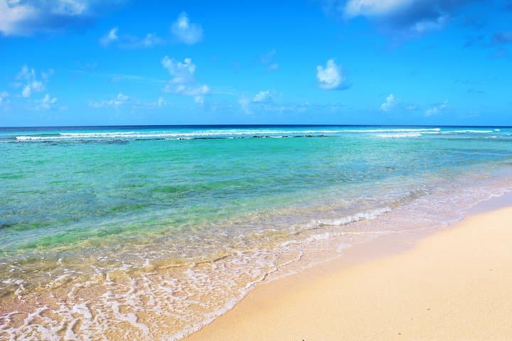 Barbados Coastal Drive: Bridgetown to Animal Flower Cave with Caribbean Lunch