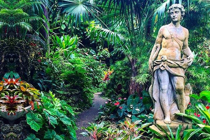 Tram Through Limestone and Lush Gulley: Harrison's Cave & Hunte's Gardens, Barbados
