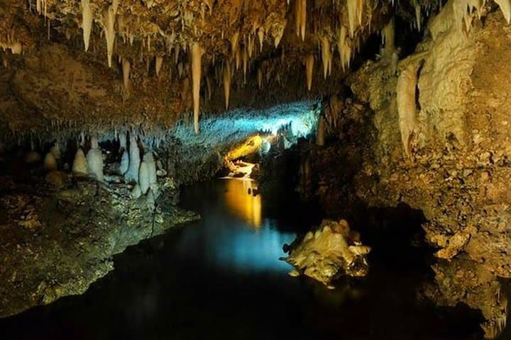 Tram Through Limestone and Lush Gulley: Harrison's Cave & Hunte's Gardens, Barbados photo 2