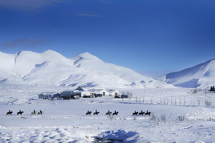 Icelandic Horse Riding Tour from Reykjavik — 3.5-Hour Trek on the Tölt-Ready Horse photo 5